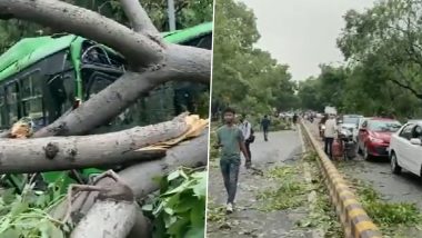 Delhi Rains: Bus Gets Trapped Under Uprooted Tree After Rains, Hailstorm Hit National Capital (Watch Video)