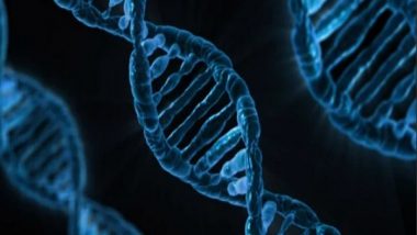 Science News | Quantum Mechanics Explains Spontaneous Mutation of DNA: Study