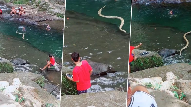 Viral Video Shows Giant Snake Slithering in River While People Enjoy Swimming