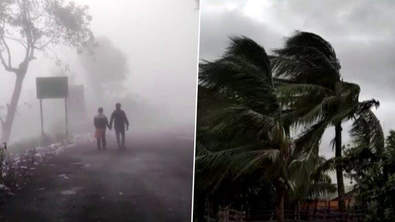 Cyclone Asani Impact: Several Parts of Andhra Pradesh Receive Heavy Rainfall; Crops Destroyed in Eleru