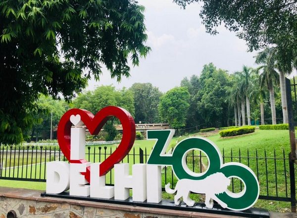 Delhi Zoo Shortlists South Africa to Bring Mate for Lone African Elephant Shankar