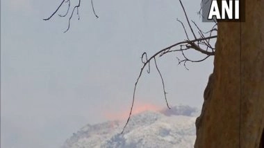 India News | Efforts Underway to Douse Fire at Wood Depot in Maharashtra's Ballarpur