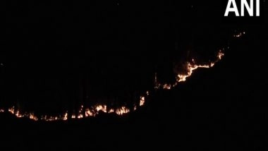 India News | Fire Breaks out in Margana Forest Area in J-K's Udhampur