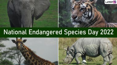 National Endangered Species Day 2022 Date & Theme: Know the Objective, History and Significance of the Day That Raises Awareness About the Endangered Species of Plants and Animals