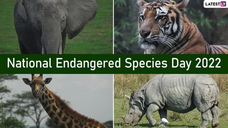 National Endangered Species Day 2022 Date & Theme: Know the Objective, History and Significance of the Day That Raises Awareness About the Endangered Species of Plants and Animals | ???????? LatestLY