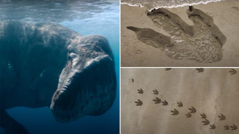 WATCH: Dinosaur's Footprints Appear on Local Beach in the UK, Beachgoers Perplexed!