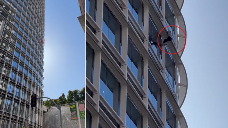 Man Spotted Climbing Salesforce Tower in San Francisco, Video Goes Viral