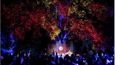 Business News | 'Off-Grid' Rises to Success