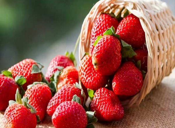 World News | Hepatitis A Outbreak in US, Canada Sparked by Contaminated Organic Strawberries: FDA