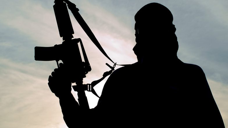 Jammu & Kashmir Encounter: Two Hizbul Mujahideen Terrorists Killed in Anantnag
