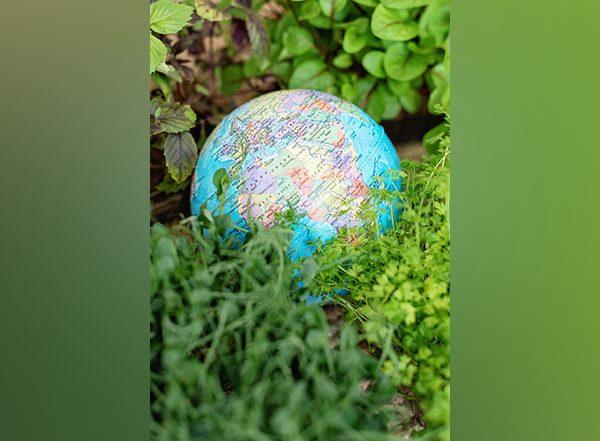 Science News | Here's How Greenhouse Gas Emissions Can Be Reduced