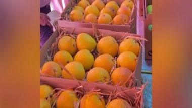 India News | Marathi Social Group Trust in Indore Organises Mango Jatra