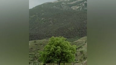 Science News | Strategies to Cut Methane Emissions from Cows, Other Ruminants Not Effective for 2050 Climate Target Plan: Study