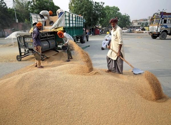 India News | Weeks After Announcing Ban, India Exported Wheat Worth USD 473 Million in April
