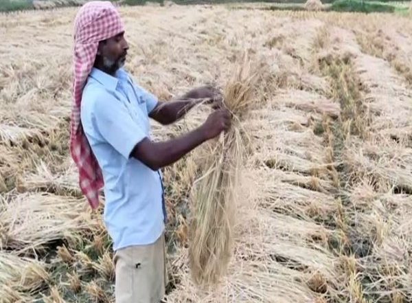 India News | TRS Leader Slams Revanth Reddy over His Farmers' Suicide Statement