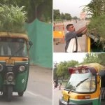 Delhi Auto-Rickshaw Driver Beats the Heat With Garden on Roof Having 25 Varieties of Plants (See Pictures)