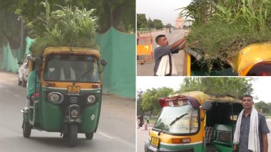 Delhi Auto-Rickshaw Driver Beats the Heat With Garden on Roof Having 25 Varieties of Plants (See Pictures)