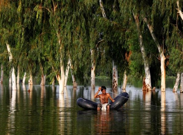 World News | Pakistan: Punjab Imposes 10-yr Commercial Fishing Ban After Fish Stock in Rivers Depletes
