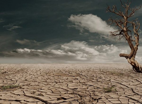 Science News | Study Suggests 'climate Change' Could Spark the Next Pandemic