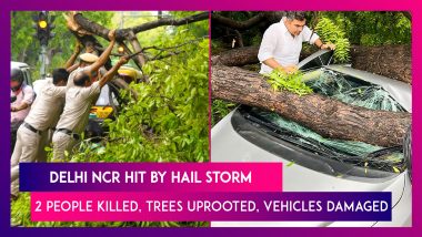 Delhi NCR Hit By Hail Storm, Two People Killed, Trees Uprooted, Vehicles Damaged In Unseasonal Weather Conditions