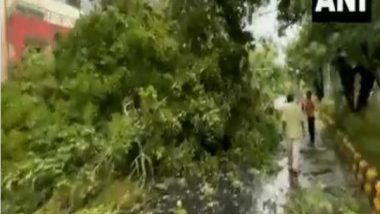 India News | Rain and Hailstorm in Delhi; Trees Uprooted, Flights Diverted