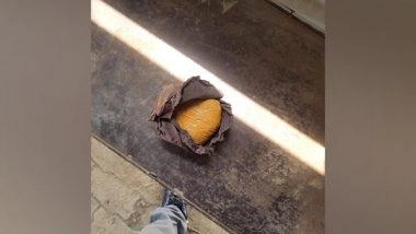 India News | Farmer Apprehended with Suspected Narcotics Near Int'l Border in Punjab's Amritsar