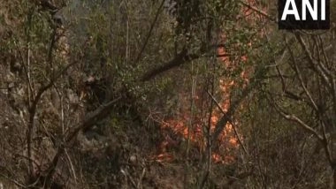 India News | J-K: Fire Breaks out in Forest Area Near Katra