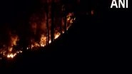 India News | J-K: Fire Breaks out in Bhaga Forest of Reasi District