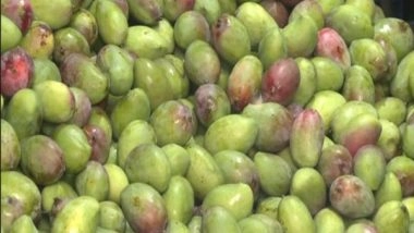 India News | Scorching Heat, Scanty Rainfall Affect Mango Production in Bengal, Prices Soar