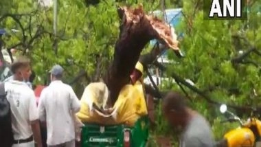 India News | Delhi: Rain Wreaks Havoc, Trees Uprooted, Cars Damaged, Man Dies in Jama Masjid