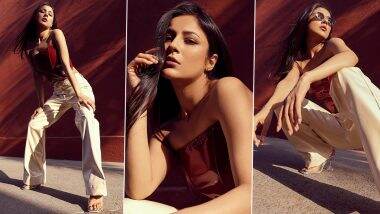 Shehnaaz Gill Poses Seductively in a Red Corset Top Paired With White Baggy Pants (View Pics)