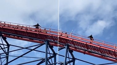 Rollercoaster Malfunctions at Blackpool Pleasure Beach in UK Leaving Passengers Trapped at 235 Feet (Watch Video)