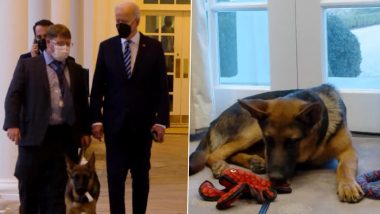 US President Joe Biden’s Pet Dog Commander Is the Perfect White House Guide (Watch Video)