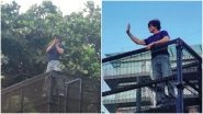 Shah Rukh Khan Comes Out On Terrace of Mannat To Wish Fans on Eid-Ul-Fitr 2022 (View Pics) Shah Rukh Khan Comes Out On Terrace of Mannat To Wish Fans on Eid-Ul-Fitr 2022 (View Pics)