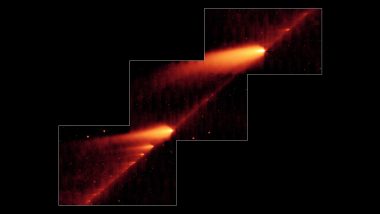 Tau Herculids Meteor Shower Live Streaming Online: Check How, When and Where To Watch the LIVE Telecast of the Brightest Meteor Storm