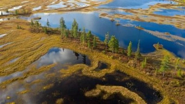 Science News | Research: Siberian Tundra Could Virtually Disappear by Mid-millennium