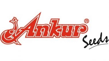 Business News | Ankur Seeds in Hybrid Revolution: Launches One of the World's First GMS Based 'Indian Bean (Dolichos) Hybrids'
