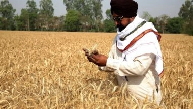 India News | Wheat in Surplus for Entire Year in India, Farmers Getting Good Prices: Centre