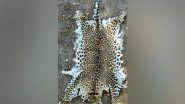 India News | Odisha STF Seizes Leopard Skin, One Apprehended