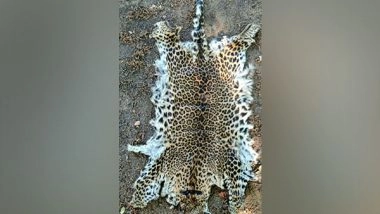 India News | Odisha STF Seizes Leopard Skin, One Apprehended