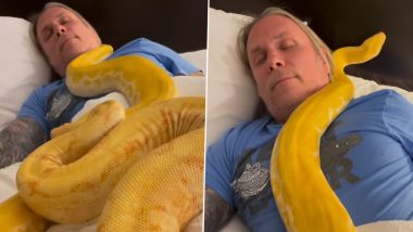 Man Sleeps Peacefully With 2 Huge Burmese Pythons Crawling Over Him; Viral Video Will Leave You Jaw-Dropped!