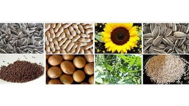 Business News | Use MSP as Tool to Encourage Pulses, Oilseed Production, Says Industry Body SEA