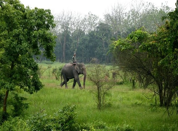 India News | SC Says Eco-sensitive Zone 'essential' in Protected Forests, National Sanctuaries
