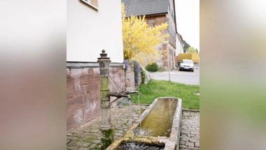 Environment News | A Small Lowering of Groundwater Level Leads to Weaker House Foundations, Says Study