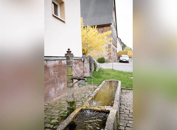 Environment News | A Small Lowering of Groundwater Level Leads to Weaker House Foundations, Says Study