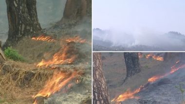 Jammu & Kashmir Forest Fire: Massive Wildfire Breaks Out in Kandi Range of Kanchi Mod Forest Area in Rajouri