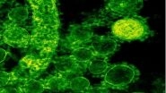 Science News | Combination Anti-HIV Antibody Infusions Suppress Virus for Long Period, Says Study