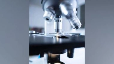 Science News | Giant Filamentous Bacteria Found in Mangroves of Guadeloupe: Research