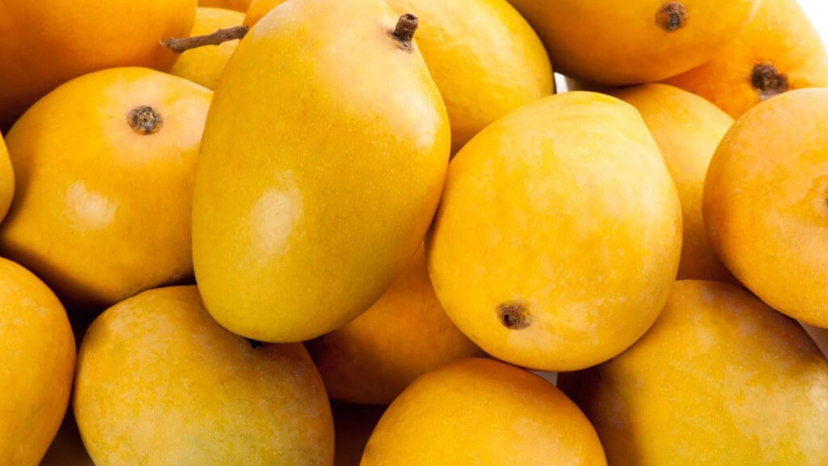 Mangoes and Their Names This Mango Season in India, Here's a Selection