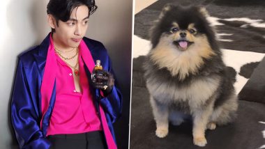BTS V aka Kim Taehyung Becomes First and Only Asian Celebrity To Reach 20 Million Likes on Instagram Post, Courtesy Pet Dog Yeontan's Picture!